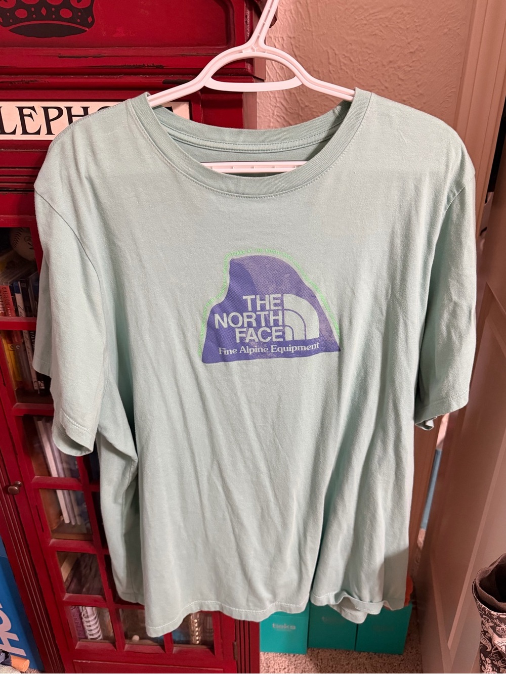 The North Face Seafoam Green Logo Tee